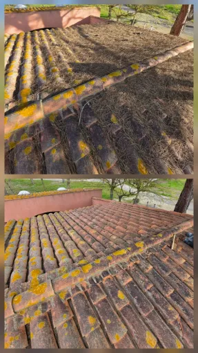 Nettoyage des toitures d'un camping à Vendres et restauration des skydome, Sérignan, FAZ Concept