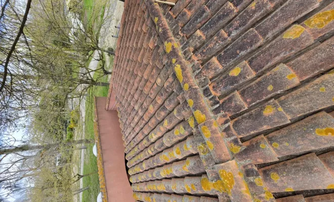 Nettoyage des toitures d'un camping à Vendres et restauration des skydome, Sérignan, FAZ Concept
